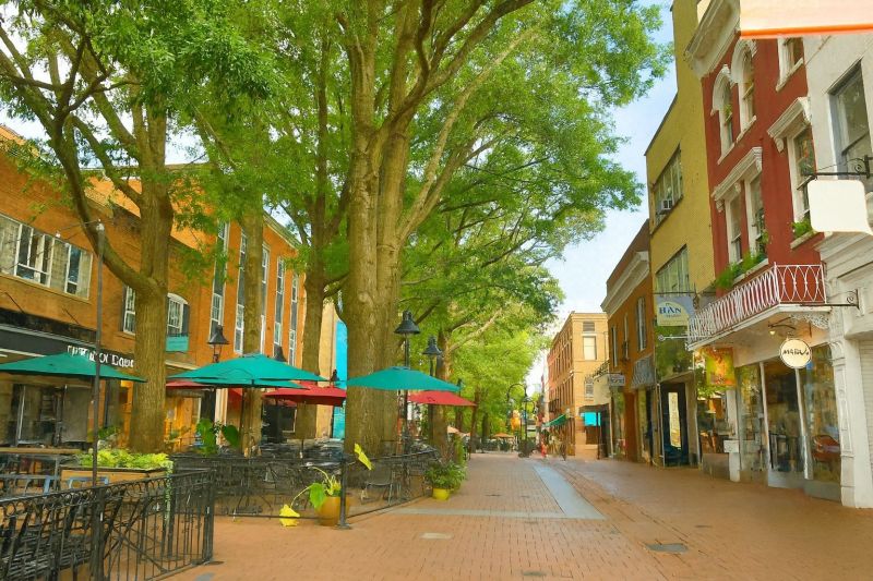 Best Tub To Shower Conversion pros in Oakton, VA